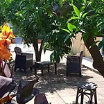 La Bouganville Acconia